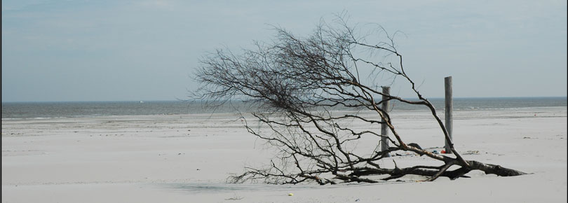 Strand Terschelling